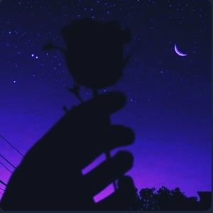 Meet your Posher, Mathew